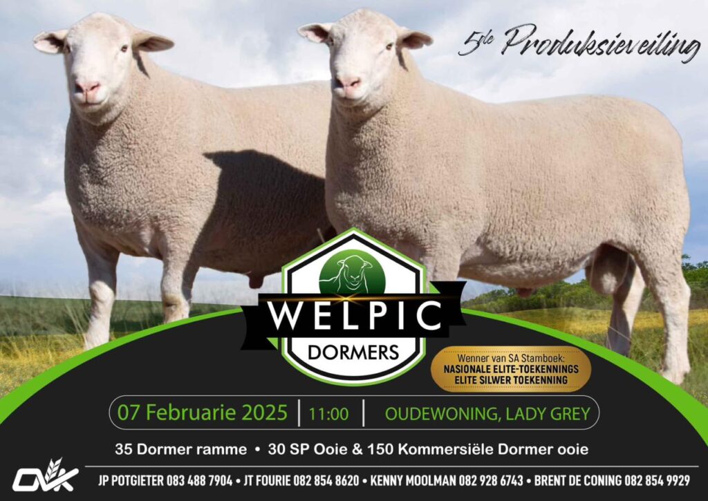 Welpic Dormers Produksieveiling advertensie